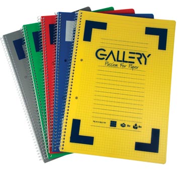 Gallery cahier à reliure spirale Traditional A4, 4 trous, ligné, couleurs assorties, 160 pages