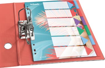 Esselte Colour'Breeze tabbladen, ft A4, 11-gaatsperforatie, PP, set van 6 tabs