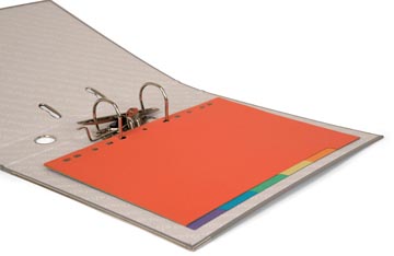 Pergamy tabbladen, ft A4, uit karton, 6 tabs, 11-gaatsperforatie, in geassorteerde kleuren