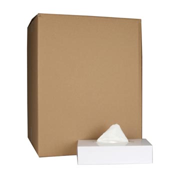 Tissues voor gezicht, 2-laags, 100 tissues per doos, pak van 36 doosjes
