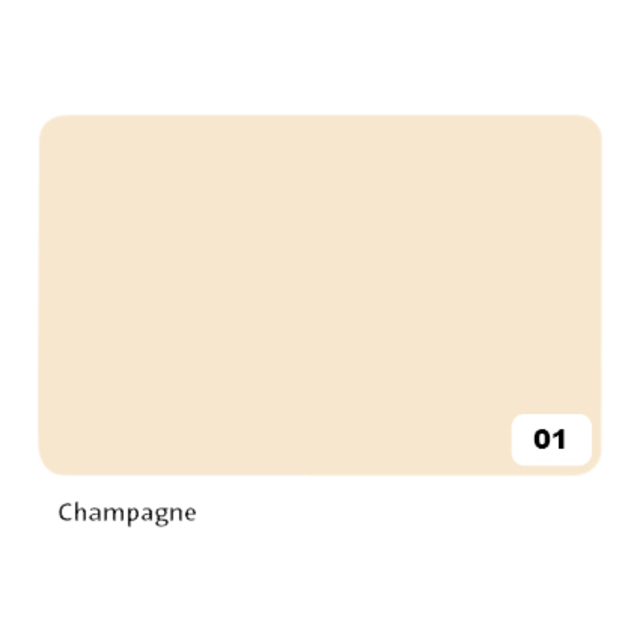 Fotokarton Folia 2zijdig 50x70cm 300gr nr01 champagne
