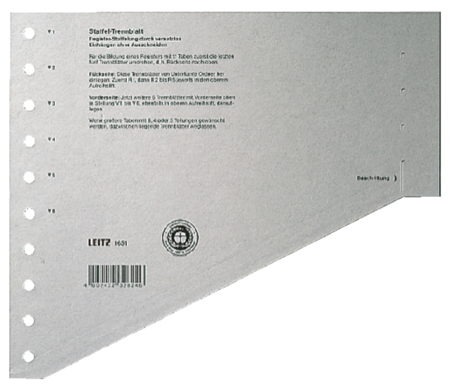 Intercalaires Leitz 1651 carton 200g A4 11 perforations gris