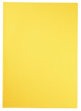 Esselte chemise de classement jaune, papier de 80 g/m², paquet de 250 pièces