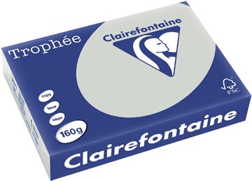 Clairefontaine Trophée Pastel A4, 160 g, 250 vel, lichtgrijs