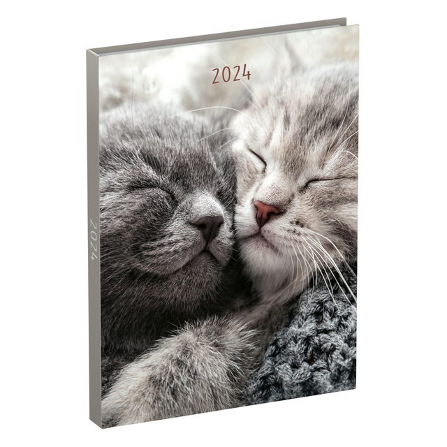 Agenda 2024 Lannoo My Favourite Friends 7dagen/2pagina's 110x150 kat knuffel