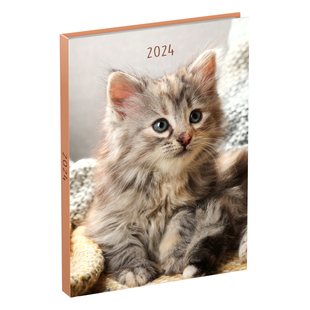 Agenda 2024 Lannoo My Favourite Friends 7dagen/2pagina's 110x150 kitten