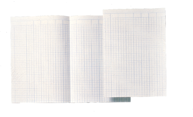 Papier comptable double in-folio 14 colonnes 100 feuilles