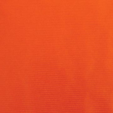 Canson kraftpapier ft 68 x 300 cm, oranje