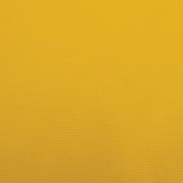 Canson kraftpapier ft 68 x 300 cm, geel